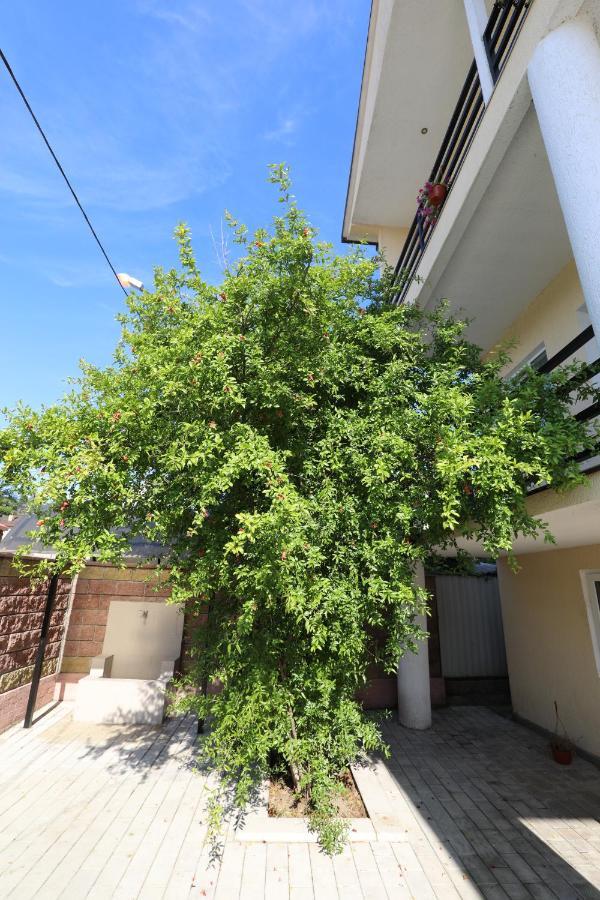 גודאותה Rozalin Guest House מראה חיצוני תמונה